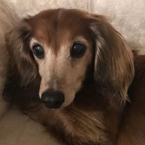 Meet your Posher, Teresa